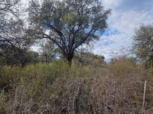 Campo De 20 Hectareas En Venta En La Paz, Traslasierra