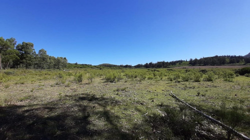Chacra A 25km De Punta Del Este Y 10 Km De Piriápolis