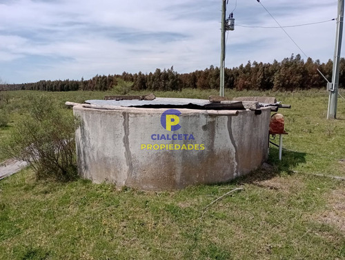 73 Hectáreas En Canelones
