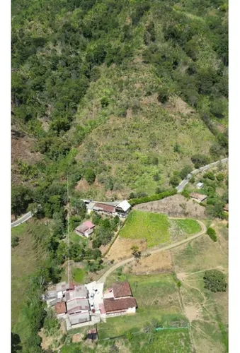 Finca Cafetera En Venta En Andes - Antioquia