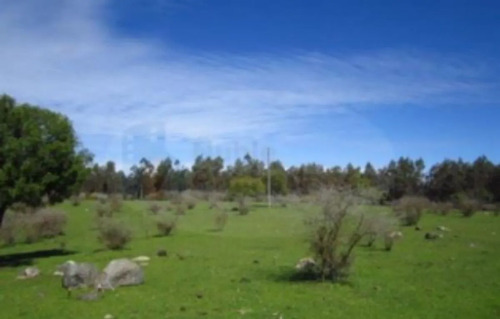 Parcela En Venta En Bulnes