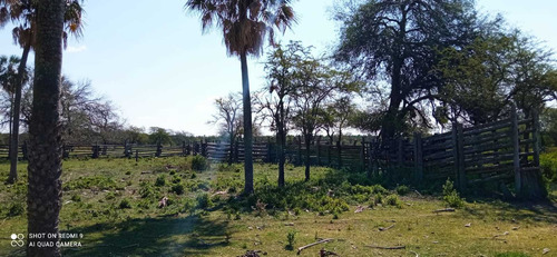 Imagen 12 de 12 de Campo Ganadero En Manuel Belgrano Formosa 944 Hectareas