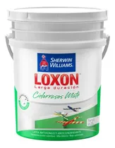 Comprar Pinturas Sherwin Williams Loxon Ld Cielorrasos Blanco 10 Lts