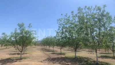 Rancho en venta