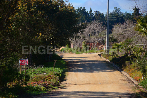 Parcela En Santa Maria De Algarrobo