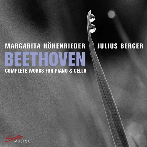 Beethoven//hohenrieder/berger Obras Completas Para Piano Y C