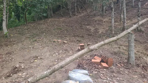 Terreno Em Ilhabela