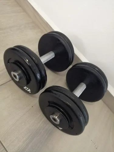 Mancuernas de 22 kg hot sale