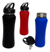 Comprar Botilito Acero Inoxidable 650ml Pitillo Botella Termo Agua