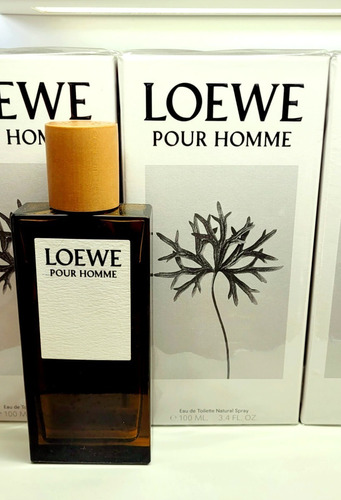Loewe Pour Homme Edt. 100 Ml. - Hombre.