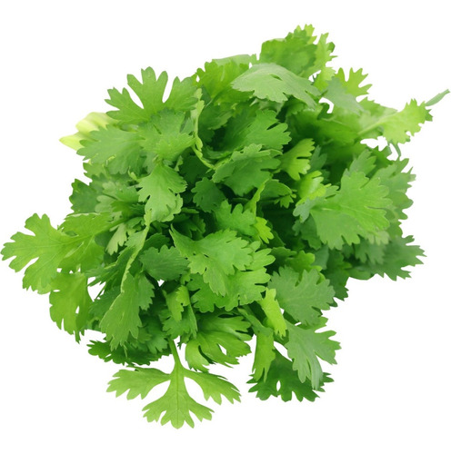 Semillas Cilantro Magnum X1 Lb Y A