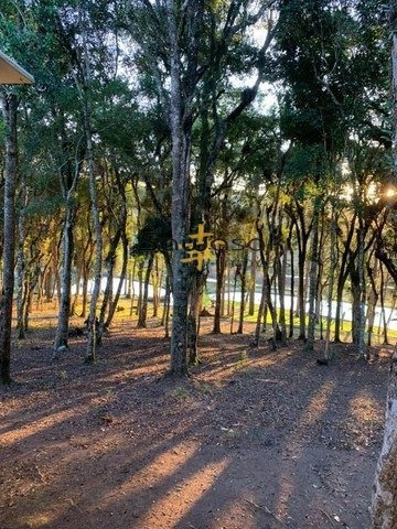 Imagem 6 de 12 de Chácara Para Venda - 5797