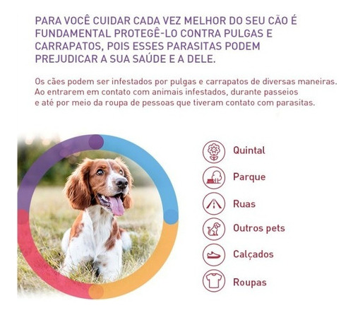 Bravecto Antipulga Carrapato Combo 2un Cães De 40a56kg