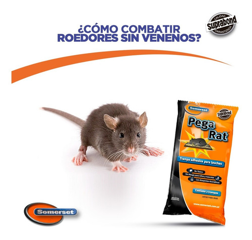 Trampa Adhesiva Suprabond Para Ratas Pegarat