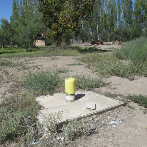 Venta Finca Olivos Ciruelas En San Rafael Mendoza