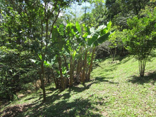 Lindo Sítio À Venda Em Atibaia - St00119 - 69026070