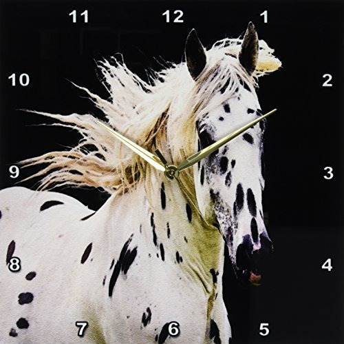 3drose Dpp 80678 2 Beautiful Appaloosa Reloj De Pared De Cab