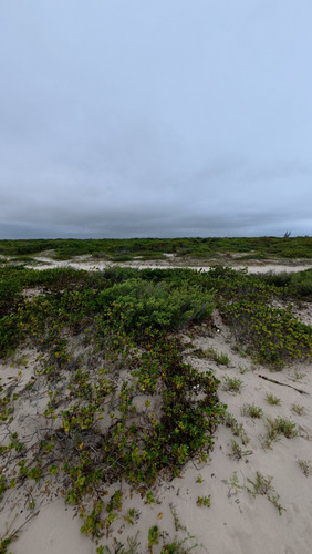 Venta De Terreno Frente Al Mar En Chuburná Puerto