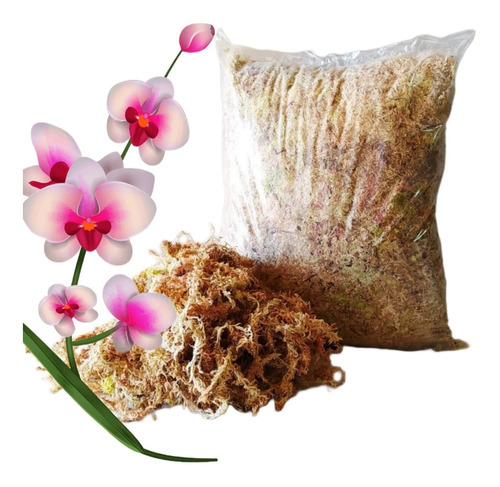 Musgo Sustrato Para Orquideas (10 Kilo, Musgo Sphagnum)