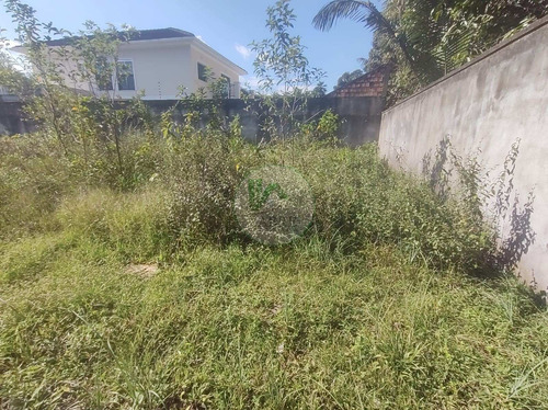 Imagem 14 de 15 de Terreno A Venda No Bairro Ponta Negra, Manaus Am - Te00061 - 69918347