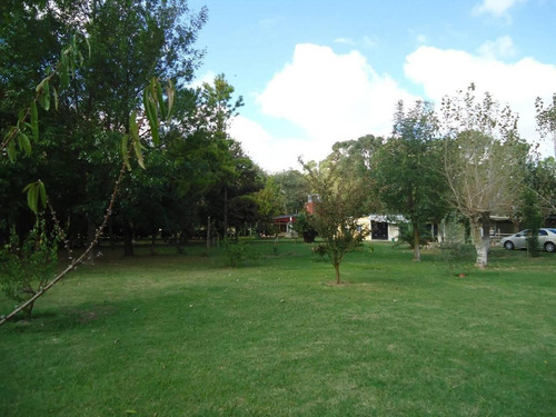 Imagen 3 de 18 de Venta De Chacra
