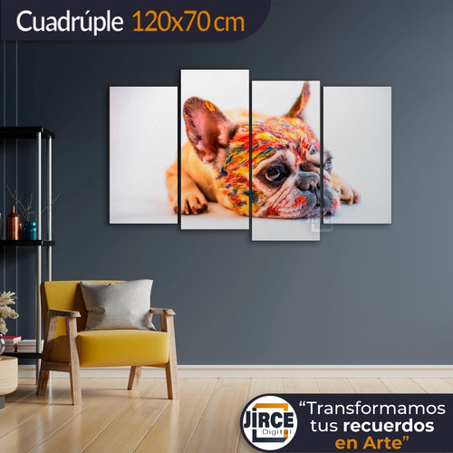 Cuadro Decorativo Moderno Perro Buldog Fránces Jd-0014 L Cuádruple 120x70 Cm Sin Marco