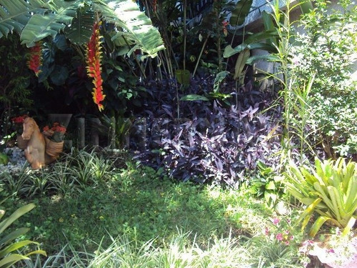 Imagem 4 de 15 de Casa - Sumare - Ref: 61784 - V-61784