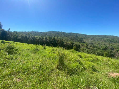 Imagem 3 de 6 de L22- Terrenos Para Chácara No Interior