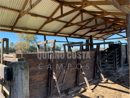 Imagen 2 de 13 de Campo Venta Las Heras Cabaña Producción Engorde Villars