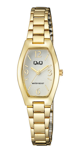 Reloj Mujer Q&q Q06a-002py