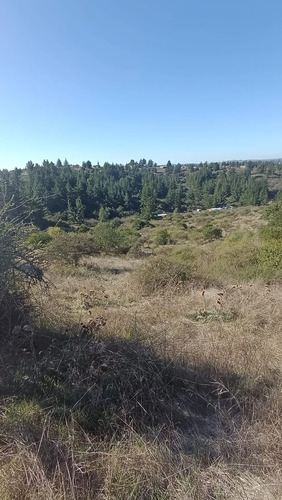Parcela 1 Hectárea Para Proyecto Sustentable | Navidad