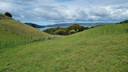 Vende Hermoso Predio De 7,38 Hás En Isla Tranqui, Chiloé!