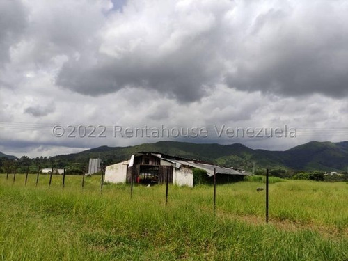 Imagen 11 de 20 de Finca Avicola En Venta Bejuma Carabobo