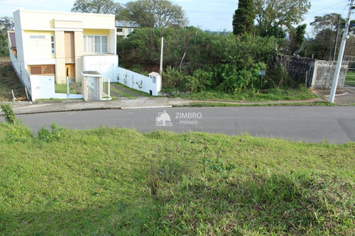 Imagem 7 de 13 de Terreno De Esquina Casemiro De Abreu 866m² Bairro Perpétuo Socorro - 12860