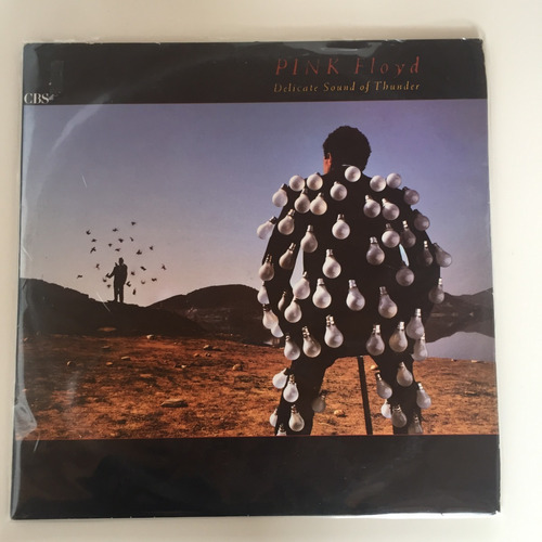 Pink Floyd - Delicate Sound Of Thunder - X2 Lps Vinilo Usado