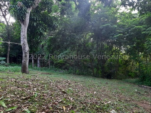 Imagen 14 de 14 de Casa En Venta En Av. Fermin Toro, San Juan De Los Morros.23-16060