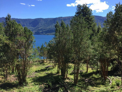 Terreno Con Orilla De Playa En Lago Rupanco