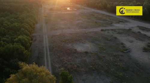 Imagen 14 de 15 de Venta 6 Hectáreas La Lucila Del Mar Loteo Campo Terreno
