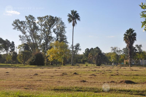 Imagen 4 de 11 de Lote Interno A4 - San Matias