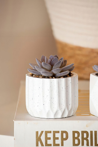 Vaso De Suculenta Artificial Decorativo Cimento 7,5x11,3cm