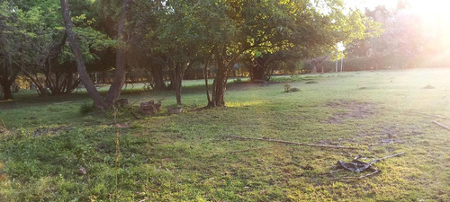 Imagen 7 de 8 de Hermoso Lote En Tortuguitas En Zona De Quintas