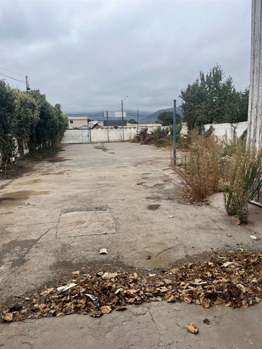 Arriendo Local Comercial Sector Céntrico Y Urbano Quillota