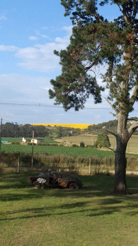 Campo En Venta Provincia De Buenos Aires Ruta 226