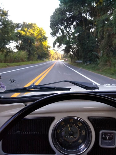 Ww Fusca