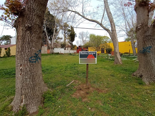 Lote Venta En Santa Teresita