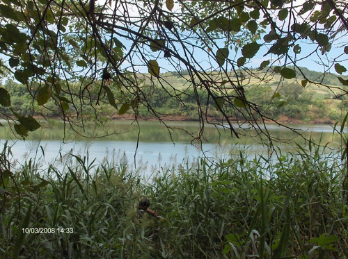 Dueño Vende 29ha, Con Título De Propiedad, 600mts De Costa Sobre El Río Uruguay, Arroyo Y Nacientes De Agua.