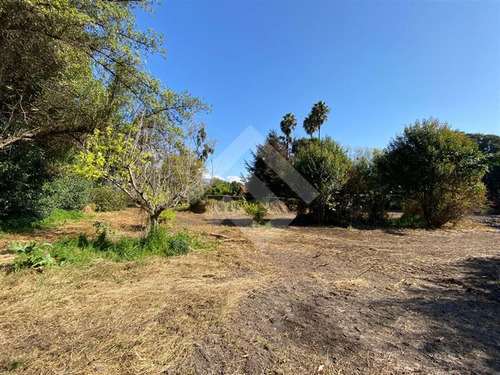 Parcela 5000 C/ Casa Vendo 4d 3b En Talagante