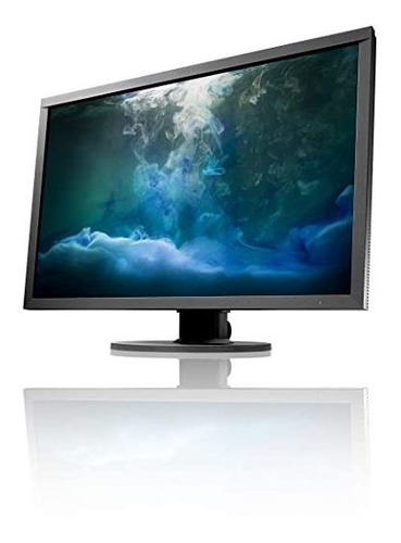 Monitor Eizo Cs2420-bk Coloredge Professional Color Graphics