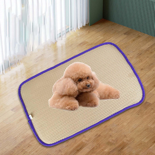 Alfombrilla De Refrigeración Para Perros, Almohadilla L