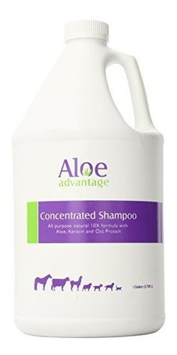 Champú Concentrado Aloe 1 Galón